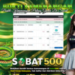 BUKTI JACKPOT MEGA WHEEL TERPERCAYA DI INDONESIA TGL 25-02-2025